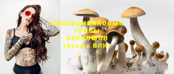 винт Балахна