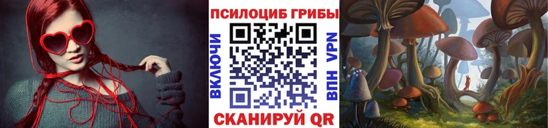 Галлюциногенные грибы Psilocybine cubensis  Купить  Светлогорск 